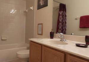 6BR Luxury house-South Facing Private Pool, on a lake, hot-tub, BBQ, near Disney
