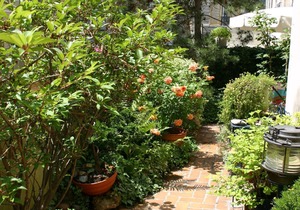 Art Deco in the Heart of the Historic Marais, With A Private Terrace
