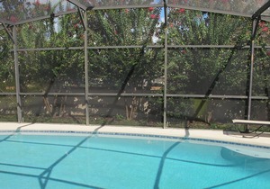 Close to Diesney, malls and supermarkets - 03 Beds Pool Home