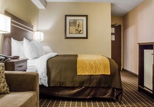 Comfort Inn Guelph