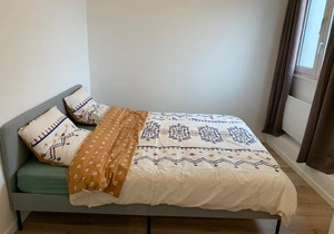 Cosy appartment in Paris