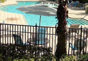 Desirable Resort Style Condo In Clearwater