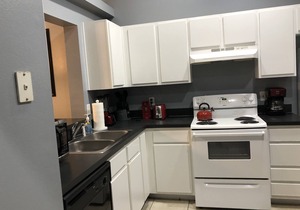 Disney! Snow Birds Welcome! W/Heated Private Pool!