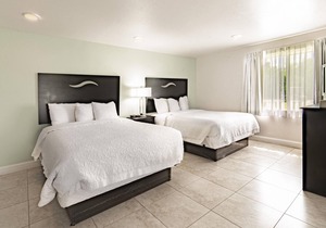 Everglades City Motel - Queen Efficiency Room
