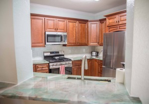 Fabulous Snowbird Rental on Tampa Bay