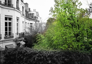 Hotel le Bellechasse Saint-Germain Paris