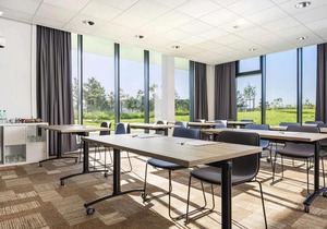 ibis Gonesse