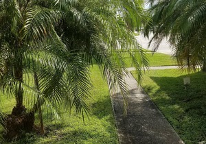 KISSIMMEE VACATION RENTAL PERFECT FOR VISITS TO DISNEYWORLD