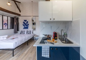 Lafayette - Saint-Lazare 66: cosy apartment for 4