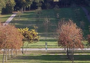 Les toits de Magny