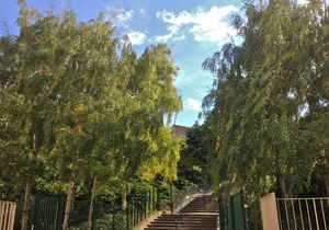 Mobility lease in the heart of "La Butte-aux-Cailles"