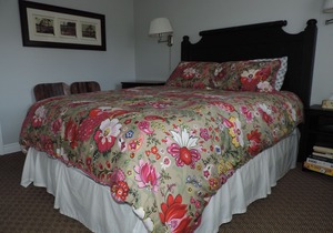 Mountain and Pond-side, one bedroom, pet friendly
