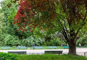 Pristine near Parc Monceau, by Veeve