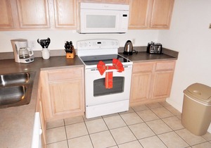 Private Pool Villa close to Disney Parks with free Wifi and BBQ