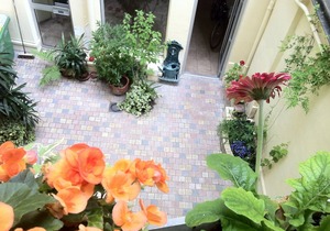 Quiet studio on courtyard Paris 14th near Montparnasse, 25 m2