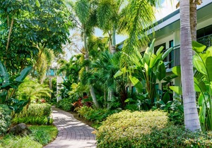 Right On International Drive! On-Site Waterpark, Restaurant, Near SeaWorld