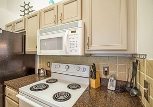 Seasons/LE2705 in Kissimmee