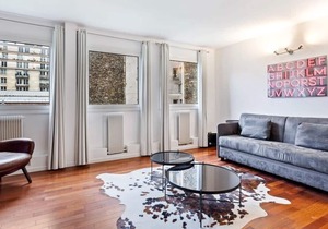 Stunning 1 Bedroom Apartment in Paris