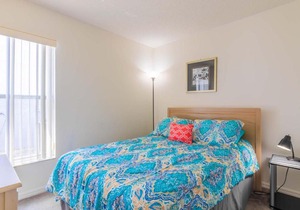 The Palms at Lake Davenport 647