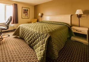 The Village Inn Elora