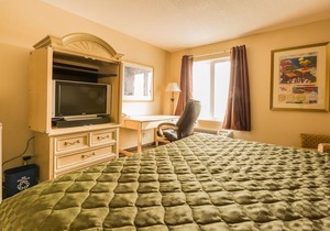 The Village Inn Elora