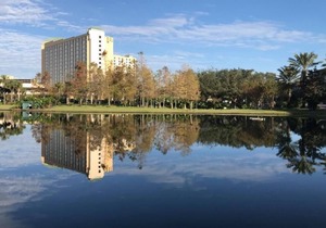 Wonderful Stay! 3 Calm and Clean Units, Pools, Restaurants, Near Disney's Animal Kingdom