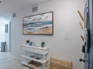 Cove | Holmes Beach