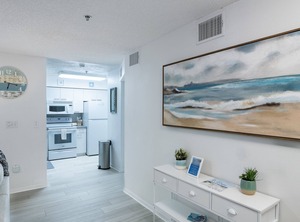 Cove | Holmes Beach