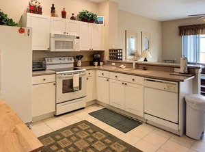 Silver Palm | Windsor Palms