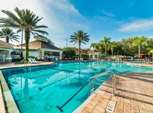 Princess Palm | Windsor Palms