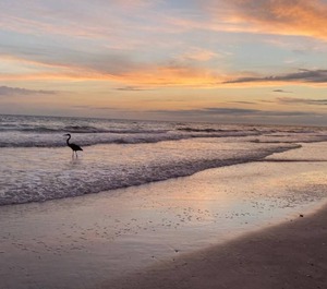 Sea Oats Redington Shores 