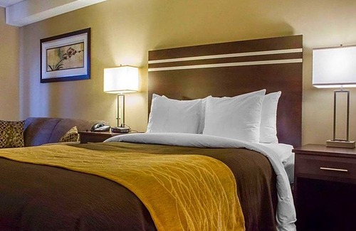 Guelph Hotel | 2-Star Hotel ∙ Comfort Inn