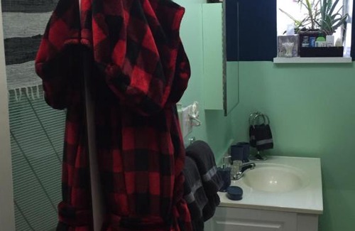 Cabbagetown Apartment | Cabbagetown bachelor studios