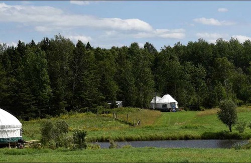 Powassan Other | Camping ∙ 1 bedroom ∙ 2 guests