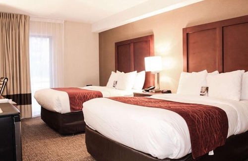 Black Creek Hotel | Comfort Inn Toronto North