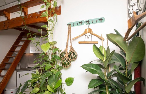 Hopital Saint-Louis Bed & Breakfast | Cosy Studio !