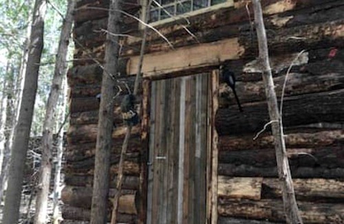 Markdale House | House ∙ 1 bedroom ∙ 5 guests