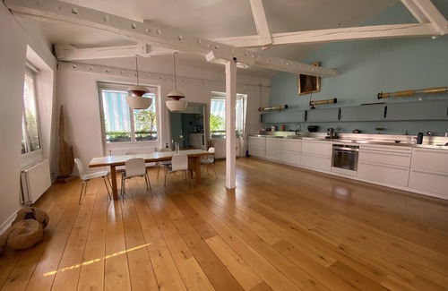 Hopital Saint-Louis Apartment | Loft Spacieux Avec Terrasse