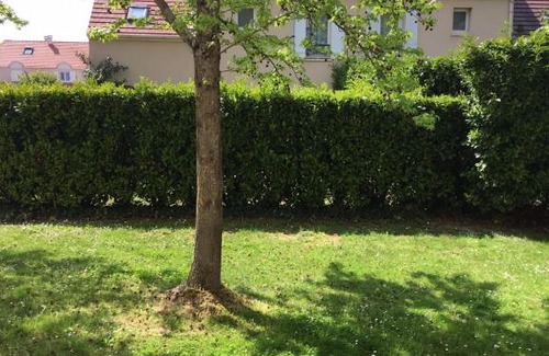 Magny-le-Hongre Apartment | MAGIC NAVY APPART