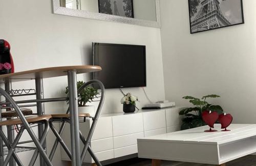 Issy-les-Moulineaux Apartment | Paris 15e - Issy les Moulineaux- parc des expo