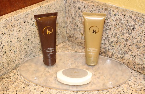 Florida Central Atlantic Coast Hotel | Rosen Inn Lake Buena Vista