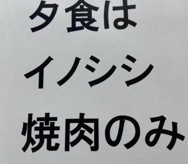 Yugawara Hostel | とまりぎ自然塾TOMARIGI Nature School