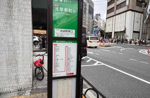 Higashiikebukuro Villa | 双椿Camellia House