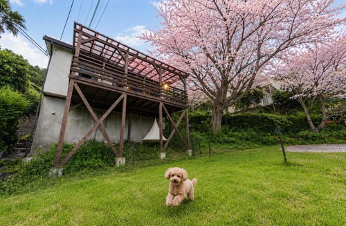 Higashiizu Villa | 愛犬と一緒 海と桜の貸切温泉ヴィラ サクラドッグガーデン伊豆熱川温泉