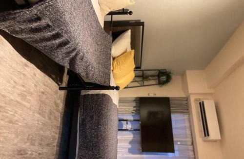 Shinkoiwa Apartment | 日本の下町新小岩デメテル202