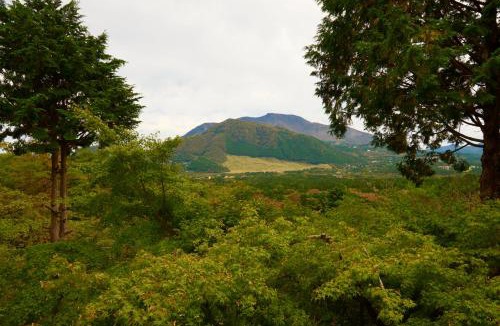 Hakone House | 美術の宿 箱根もみじの森