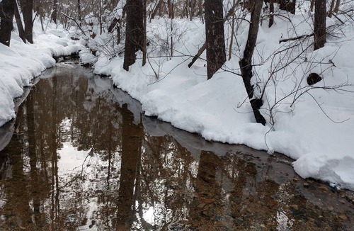 Groom Creek Cabin | 10 min from downtown Prescott. touch point cleaning provided these times