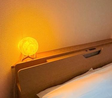 Minamiotsuka Apartment | 130m2 house in yamanote line 5min by walk