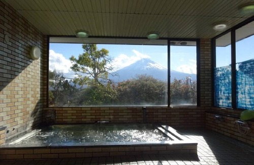 Fujikawaguchiko Hotel | 16 m² Hotel ∙ 1 bedroom ∙ 4 guests