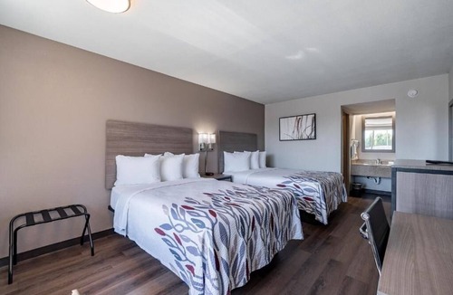 Tucson Hotel | 2 Affordable Rooms Close to Reid Park Zoo w/Pool
